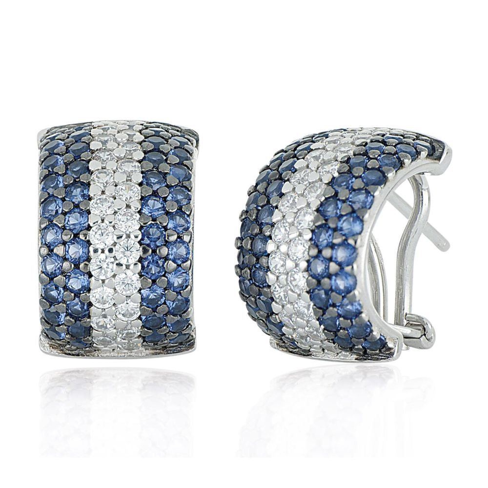 Aros ARTLINEA Plata y Circones ZOR108BL