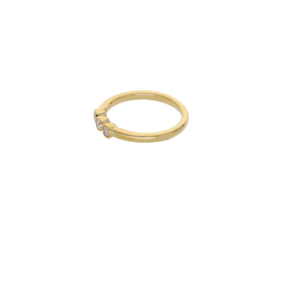 Anillo Oro Amarillo y Brillantes Tricillo Bisel AN13373