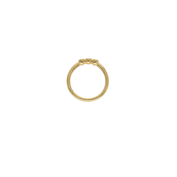 Anillo Oro Amarillo y Brillantes Tricillo Bisel AN13373
