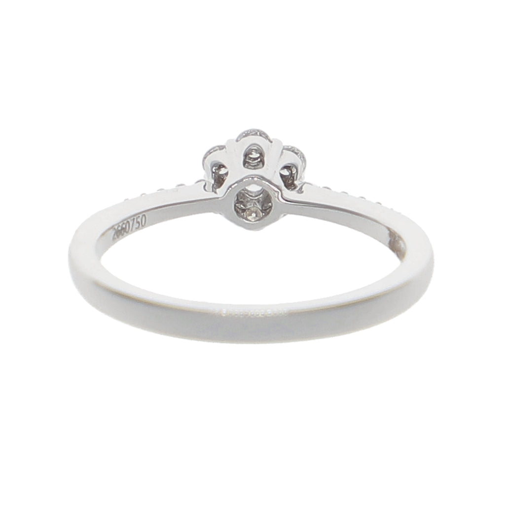 Anillo Oro Blanco Roseta AN-13896