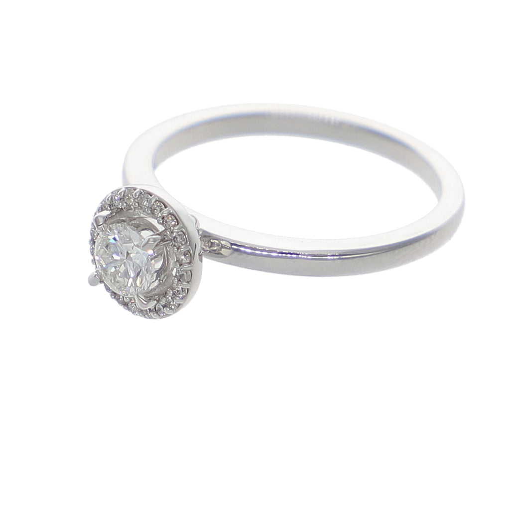 Anillo Oro Blanco Solitario Halo AN-13904