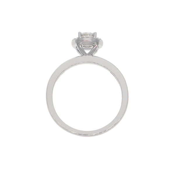 Anillo Oro Blanco Solitario Halo AN-13904