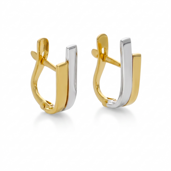 Aros Argolla Oro Amarillo y Blanco AR-14238