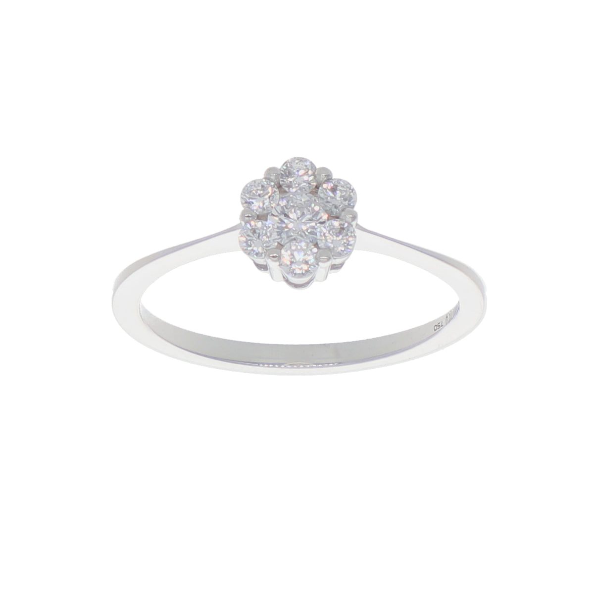Anillo Oro Blanco y Circones Rosetta AN-13705