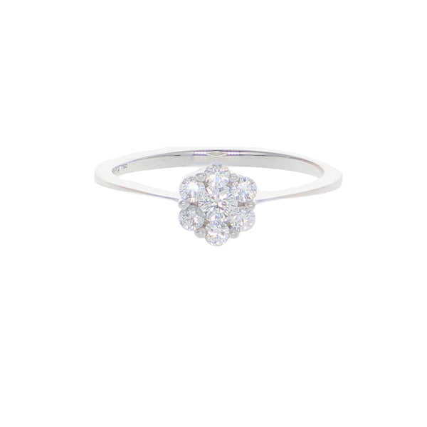 Anillo Oro Blanco y Circones Rosetta AN-13705