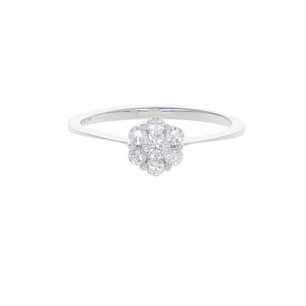 Anillo Oro Blanco y Circones Rosetta AN-13705