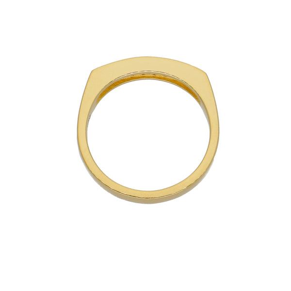 Anillo Oro Amarillo y Circones Medio Cintillo AN-13722