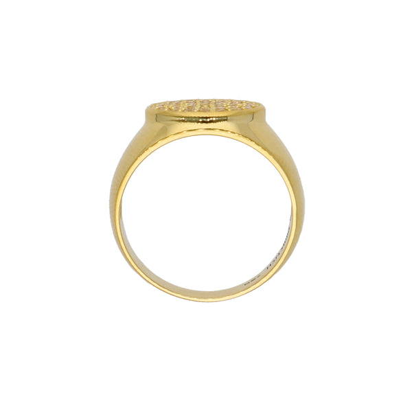 Anillo Oro Amarillo y Circones AN-13744