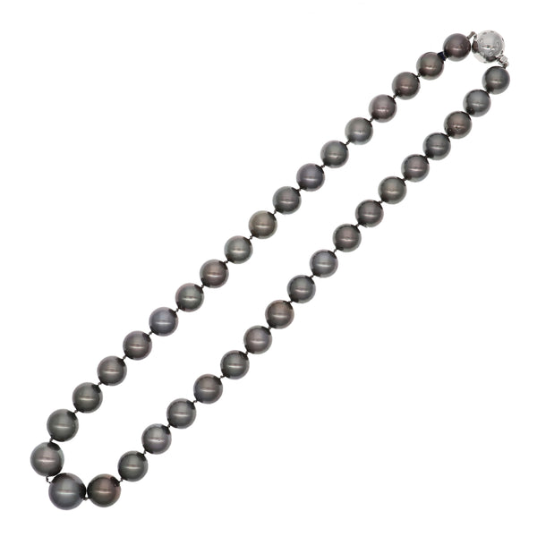 Collar Oro Blanco y Perlas Cultivadas Tahití CO0812378