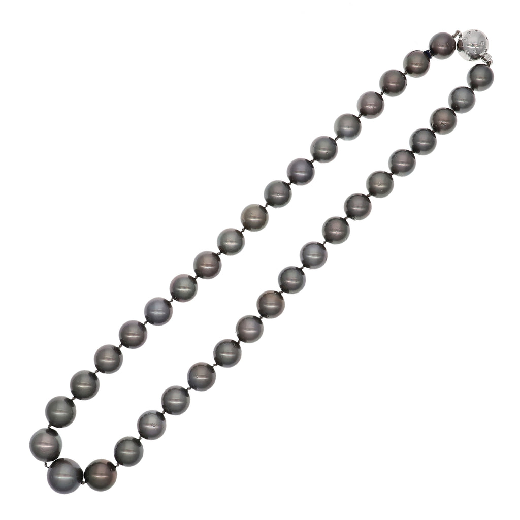 Collar Oro Blanco y Perlas Cultivadas Tahití CO0812378