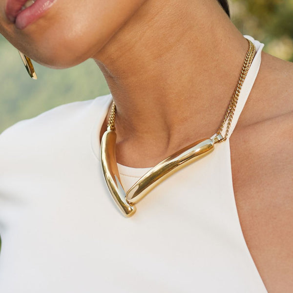 Collar Zag Nelson