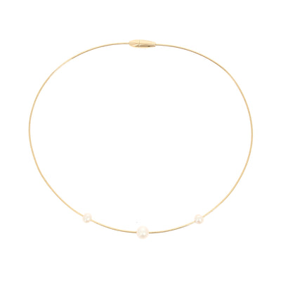 Collar Pesavento DNA WDNAG1090