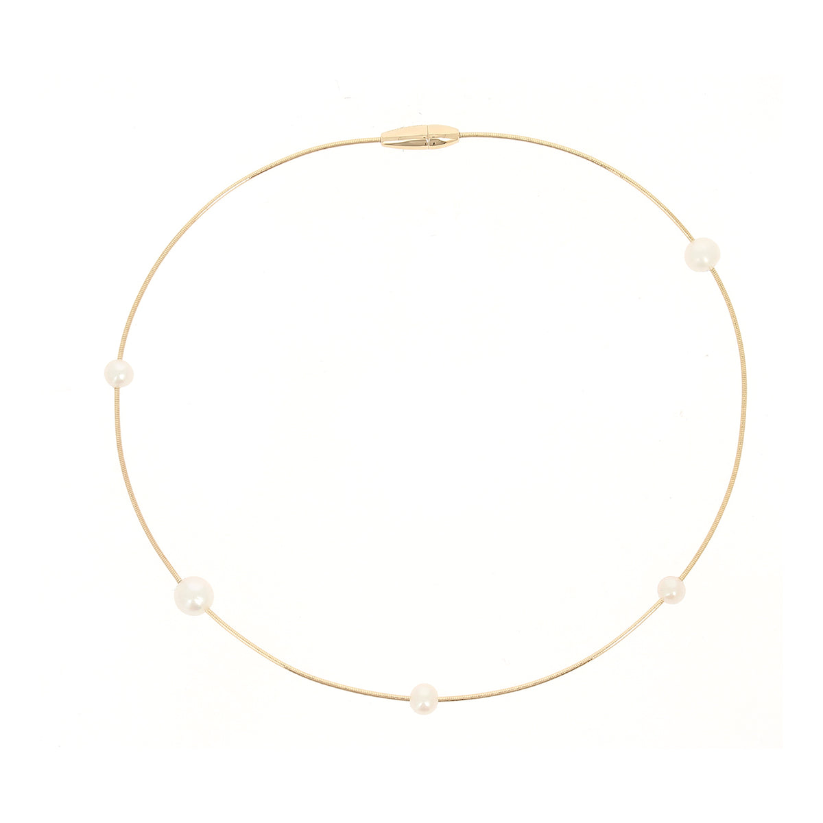 Collar Pesavento DNA WDNAG1091