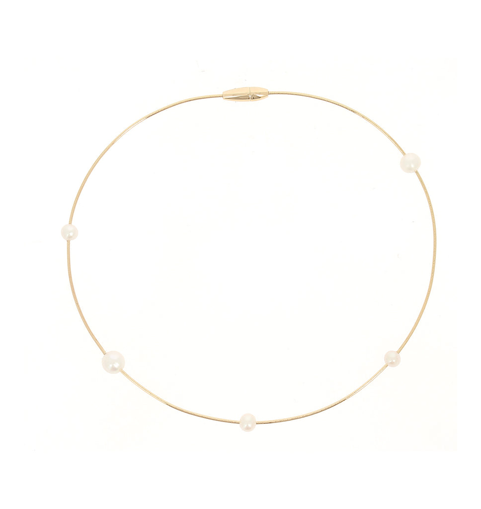 Collar Pesavento DNA WDNAG1091