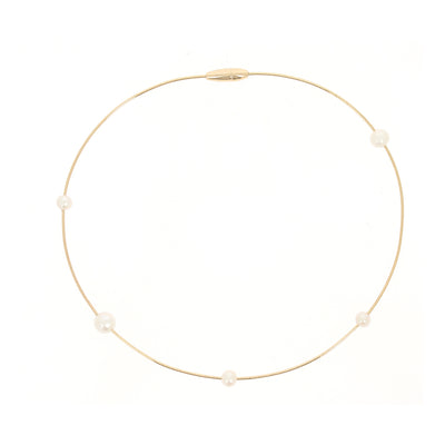 Collar Pesavento DNA WDNAG1091