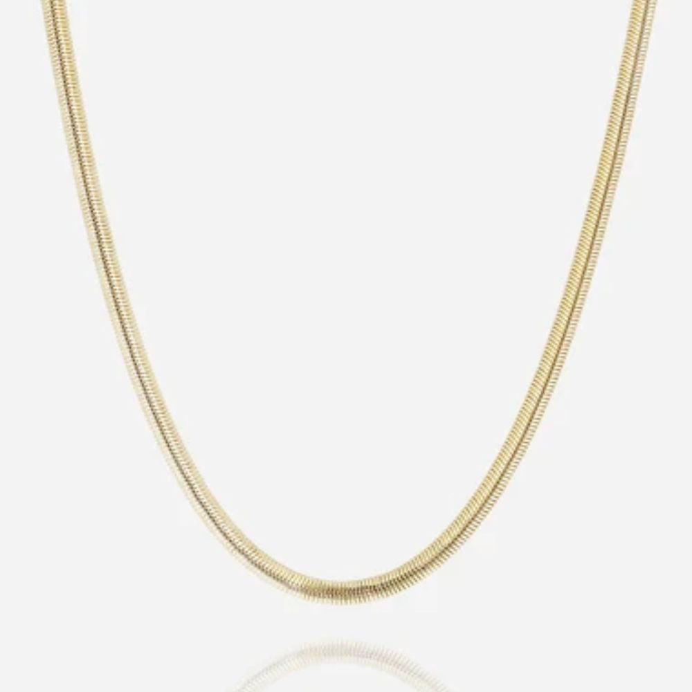 Collar ZAG Anubis