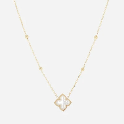 Collar Zag Racine